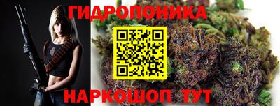 гашик Нарткала