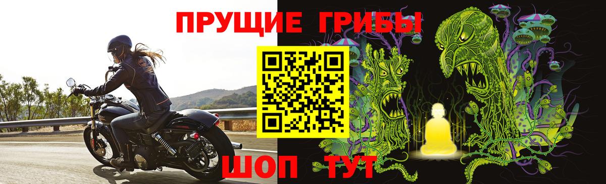 Галлюциногенные грибы GOLDEN TEACHER Тулун